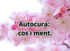 Mostra hi ha opcions de productes per escollir