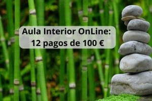 Aula Interior OnLine - En 12 cuotas.
