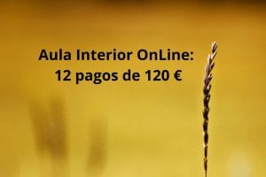 Aula Interior OnLine - En 12 cuotas.