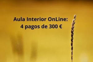 Aula Interior OnLine - En cuatro cuotas.