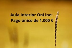 Aula Interior OnLine - Pago único