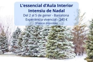 L'essencial d'Aula Interior. Intensiu Nadal 2027.