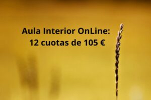 Aula Interior OnLine - En 12 cuotas.